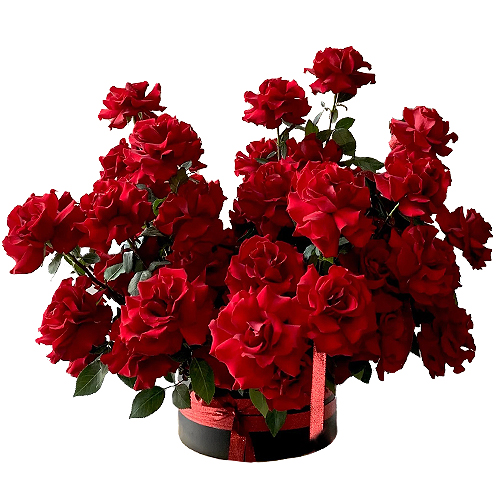 "Богиня любви". Композиция в коробке